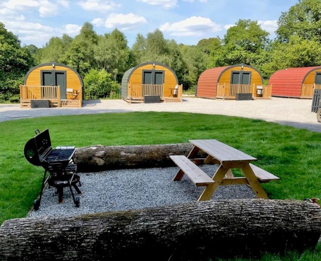 فيلا Earth Pod 2 Pet Friendly نيث المظهر الخارجي الصورة